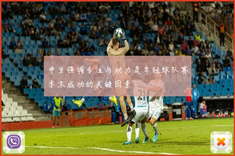 申京强调专注与动力是年轻球队赛季末成功的关键因素