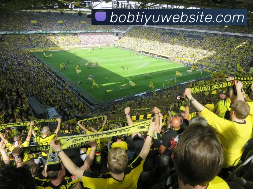 BOB体育发展历程